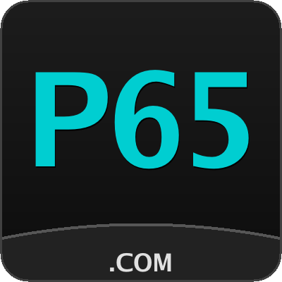 P65 Arena